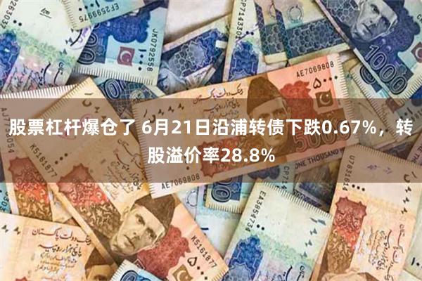 股票杠杆爆仓了 6月21日沿浦转债下跌0.67%，转股溢价率28.8%