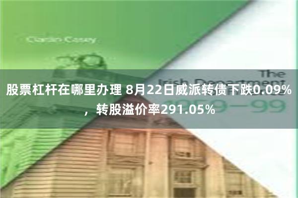 股票杠杆在哪里办理 8月22日威派转债下跌0.09%，转股溢价率291.05%