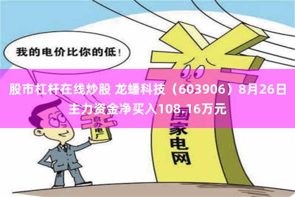 股市杠杆在线炒股 龙蟠科技（603906）8月26日主力资金净买入108.16万元