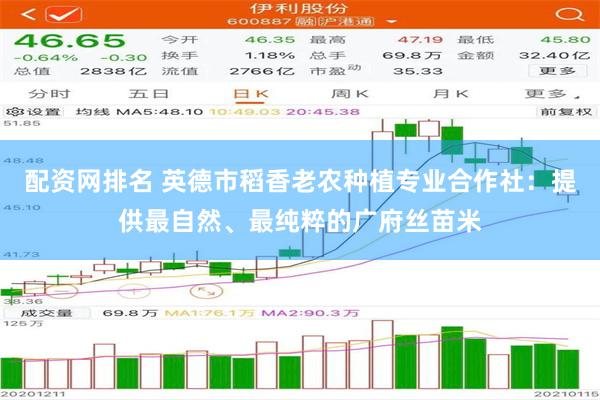 配资网排名 英德市稻香老农种植专业合作社：提供最自然、最纯粹的广府丝苗米