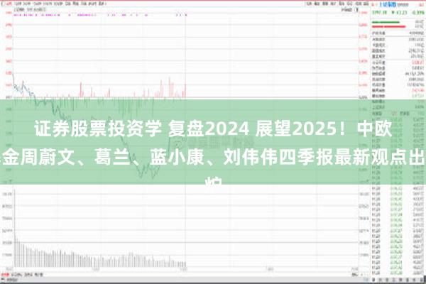 证券股票投资学 复盘2024 展望2025！中欧基金周蔚文、葛兰、蓝小康、刘伟伟四季报最新观点出炉