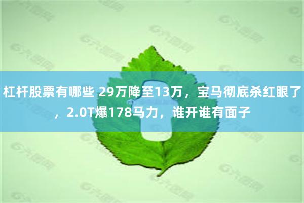 杠杆股票有哪些 29万降至13万，宝马彻底杀红眼了，2.0T爆178马力，谁开谁有面子